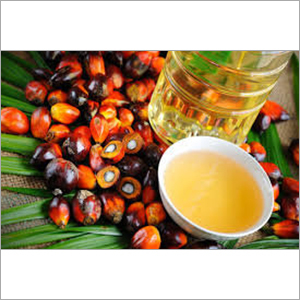 Crude Palm Oil Crude Palm Oil