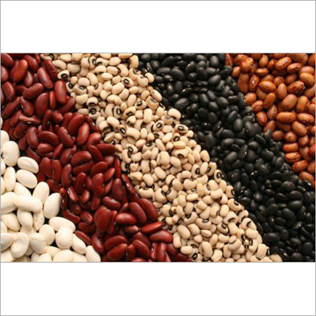 Kidney Beans( White,Red,Black) Kidney Beans( White,Red,Black)