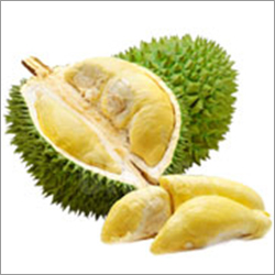 Durian Fruit Durian Fruit
