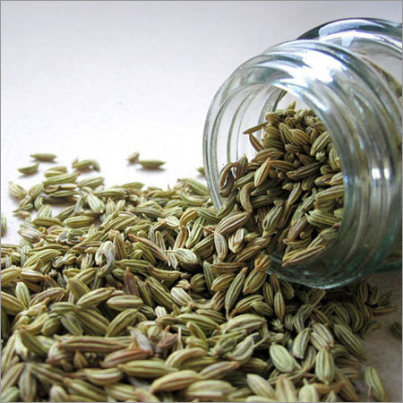 Fennel Seed Fennel Seed