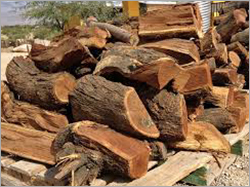 Ignition Firewood Ignition Firewood