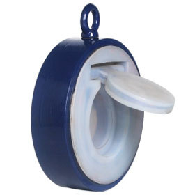 Ptfe Lined Swing Check Valve Ptfe Lined Swing Check Valve