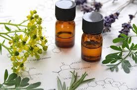 Natural Essential Oil Natural Essential Oil