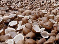Dry Coconut Dry Coconut
