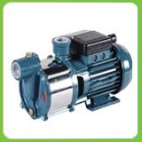 Raw Water Pump Raw Water Pump