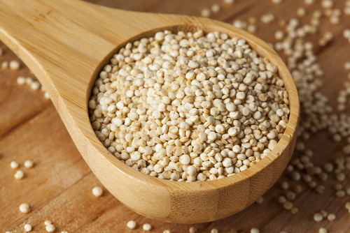 Quinoa Seed Quinoa Seed
