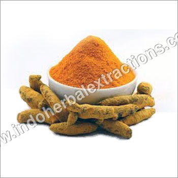 Turmeric Curcumin Turmeric Curcumin