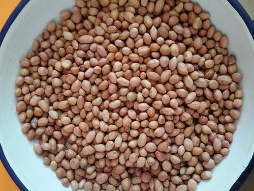Peanuts Exporter Peanuts Exporter
