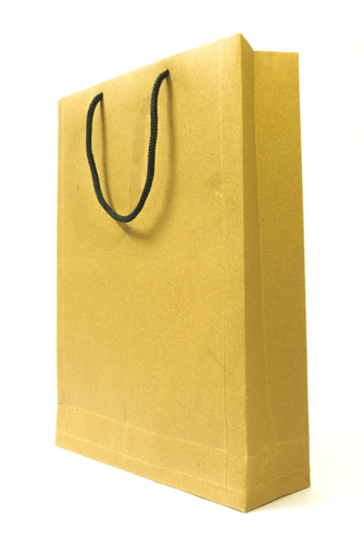 Paper Carry Bags Paper Carry Bags