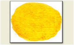 Cadmium Sulfide Cadmium Sulfide
