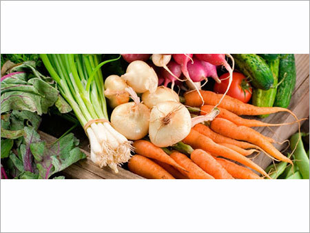 Farm Fresh Vegetables Farm Fresh Vegetables