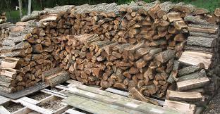 High Quality Kiln Dried Beech Firewood,Oak Firewood,Pine Firewood for sale High Quality Kiln Dried Beech Firewood,Oak Firewood,Pine Firewood for sale