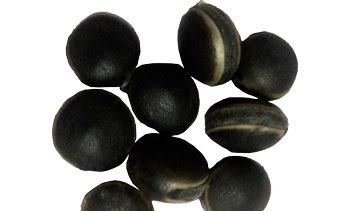 Parcostic Seeds Parcostic Seeds