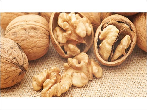 Walnut Kernels Walnut Kernels