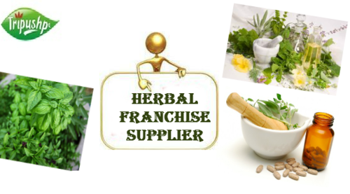 Ayurvedic Pharma PCD Franchise Ayurvedic Pharma PCD Franchise
