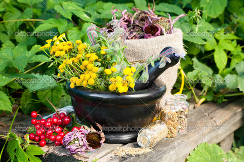 Herbal PCD and Franchise Herbal PCD and Franchise
