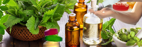 Herbal Medicine PCD Herbal Medicine PCD