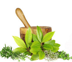 Herbal PCD Franchise Company Herbal PCD Franchise Company