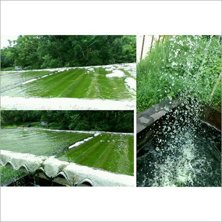Micro Algae Based Effluent Treatement System Micro Algae Based Effluent Treatement System