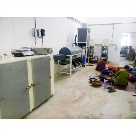 Automatic Cashew Nut Processing Plant Automatic Cashew Nut Processing Plant