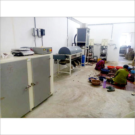 Kaju Processing Machine Kaju Processing Machine
