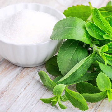 Stevia Powder Stevia Powder