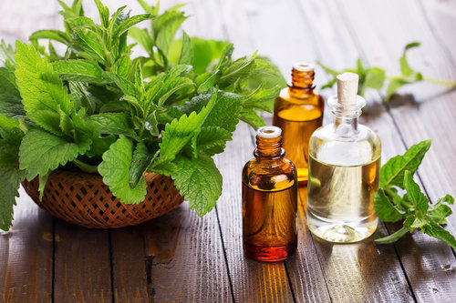 Mint oil Mint oil