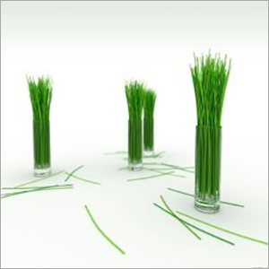 Lemon Grass Burning Oil Lemon Grass Burning Oil