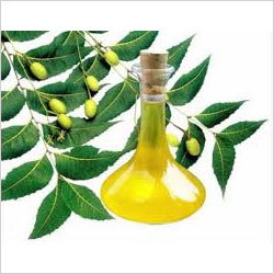 Neem Leaf Oil Neem Leaf Oil