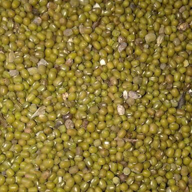 Mung Bean Mung Bean