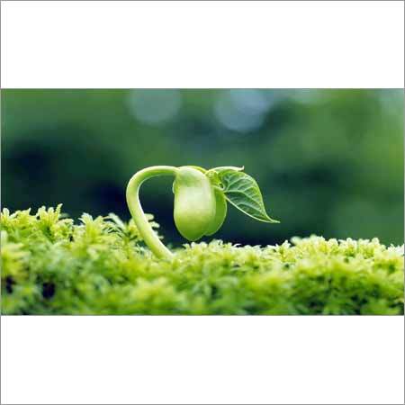 Soil Conditioner Soil Conditioner
