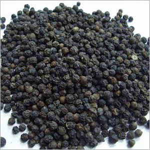 Black Pepper Black Pepper
