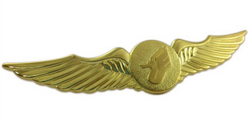 Wing Lapel Pin Wing Lapel Pin