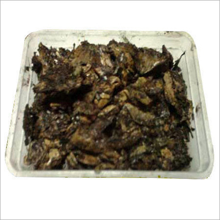 Cashew Shell Cake Cashew Shell Cake