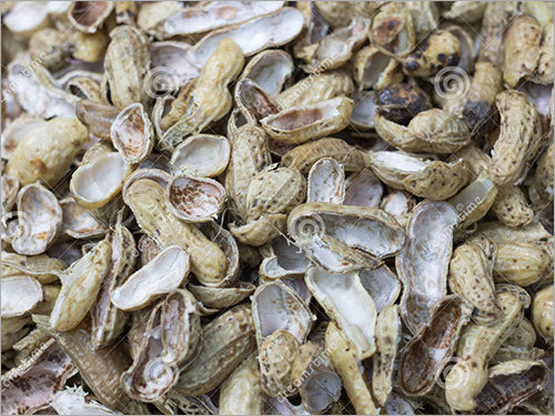 Groundnut Shell Briquettes Groundnut Shell Briquettes