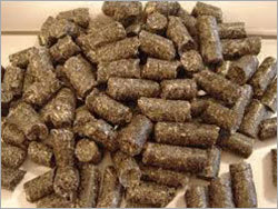 Mustard Husk Briquettes Mustard Husk Briquettes