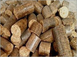 Mustard Stalk Briquettes Mustard Stalk Briquettes