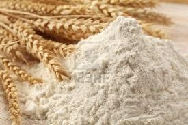 Wheat Flour Wheat Flour