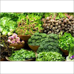 Green Fresh Vegetables Green Fresh Vegetables