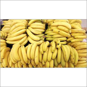 Fresh Banana Fresh Banana