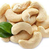 Cashew Nut (W210) Cashew Nut (W210)