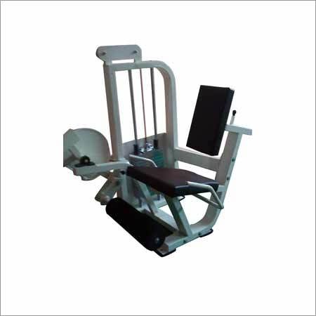 Leg Extension Leg Extension