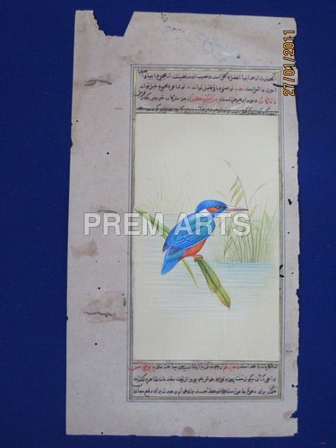 Kingfisher Painting on Paper Kingfisher Painting on Paper