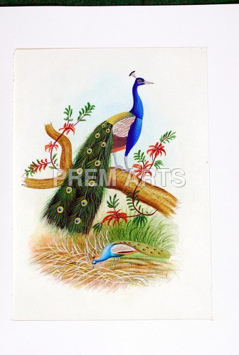 Peacock Painting on Clothe Peacock Painting on Clothe