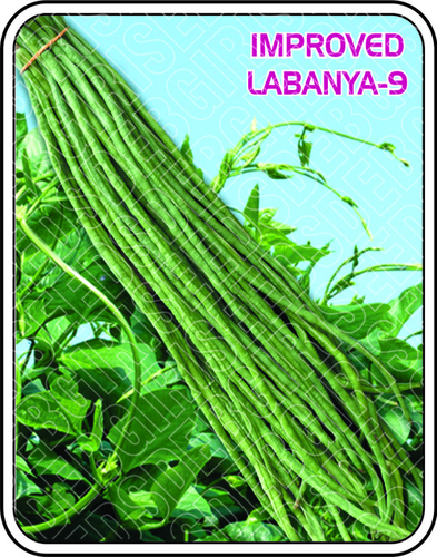 IMPORTED LABANYA - 9 IMPORTED LABANYA - 9