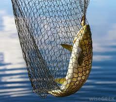PE Fishing Net PE Fishing Net