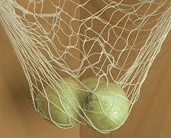 Fruits Net Fruits Net
