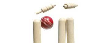 Stumps Stumps