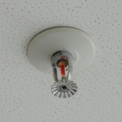 Fire Sprinkler System Fire Sprinkler System