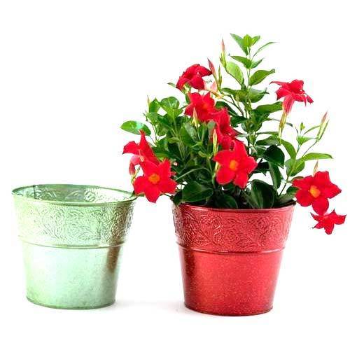 Decorative Metal Planters Decorative Metal Planters